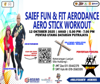 SAIEF FUN & FIT AERODANCE AERO STICK WORKOUT
