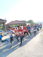Program larian Hari Sukan Negara