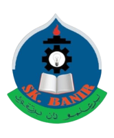 HARI SUKAN NEGARA SK BANIR