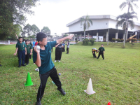 KECERGASAN ASAS