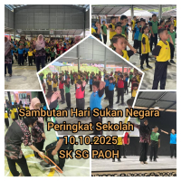 HARI SUKAN NEGARA PERINGKAT SEKOLAH