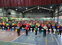 HARI SUKAN NEGARA (2)